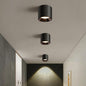 Modern Flush Mount Ceiling Light | 4.8" LED Cylinder Fixture for Hallway, 5CCT 3000K-6000K Dimmable, CRI90+