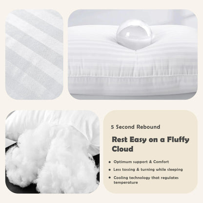 Stripe Pillows Set of 2