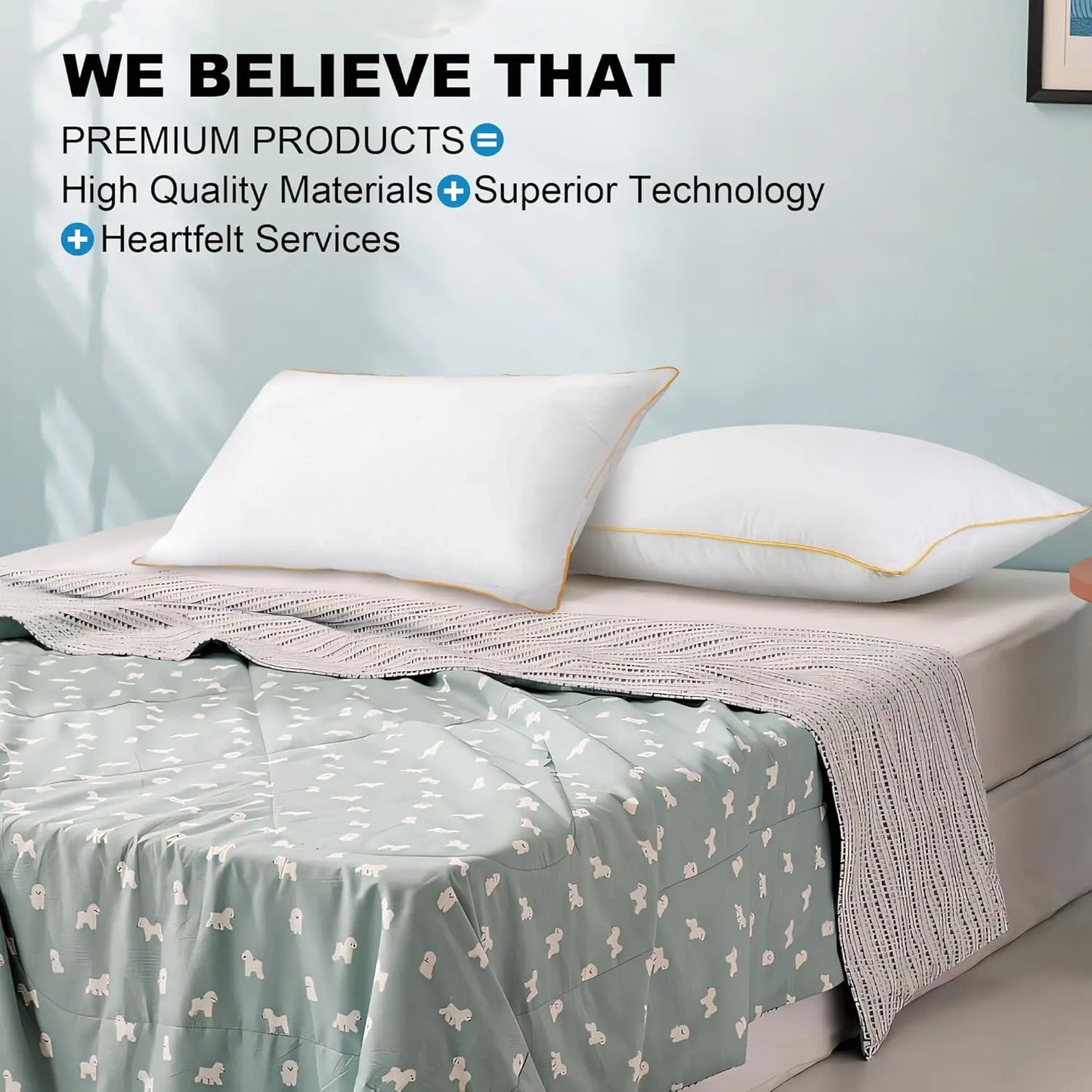 2PC Pillow set