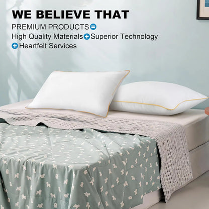 2PC Pillow set