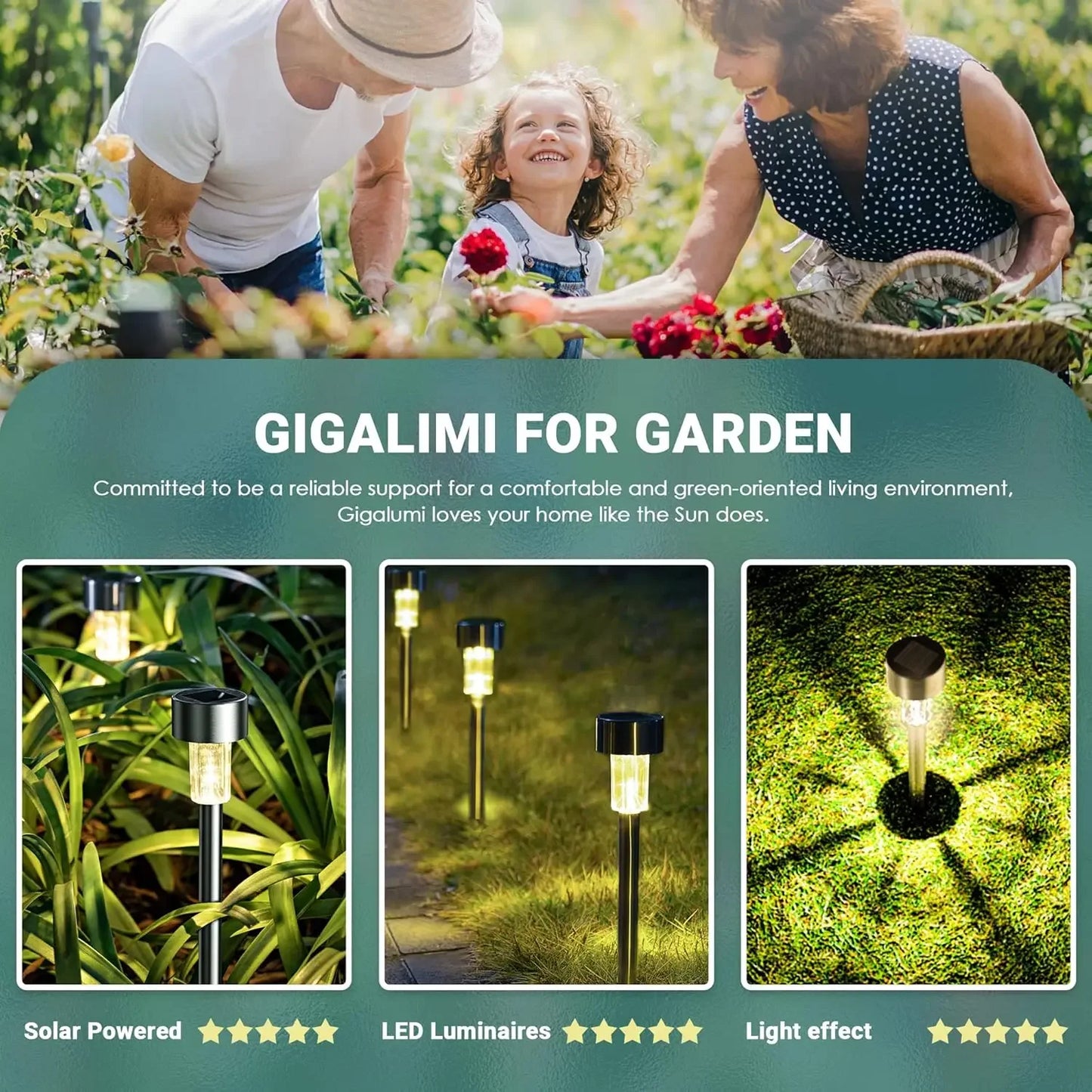 Outdoor solar lights 10pcs