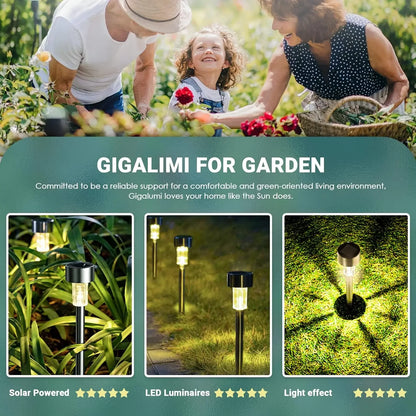 Outdoor solar lights 10pcs