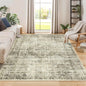 Area Rug, Throw Rug Indoor Carpet