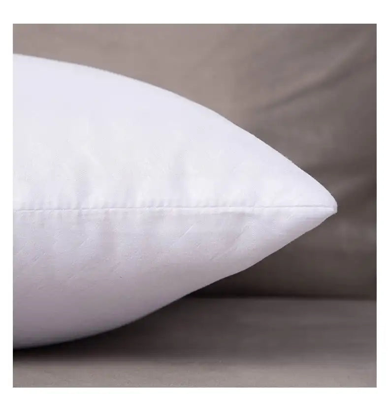 Throw Pillows Insert (Pack of 2, White)