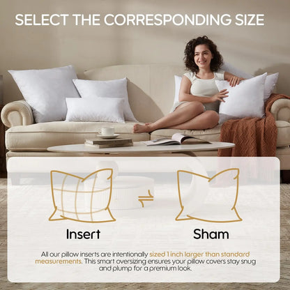Feather Throw Pillow Inserts Set of 4