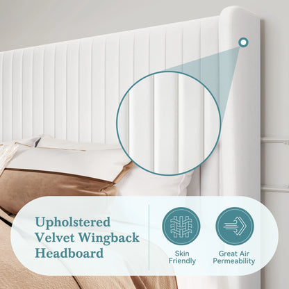 Velvet Upholstered Bed Frame with Vertical Channel Tufted Wingback Headboard