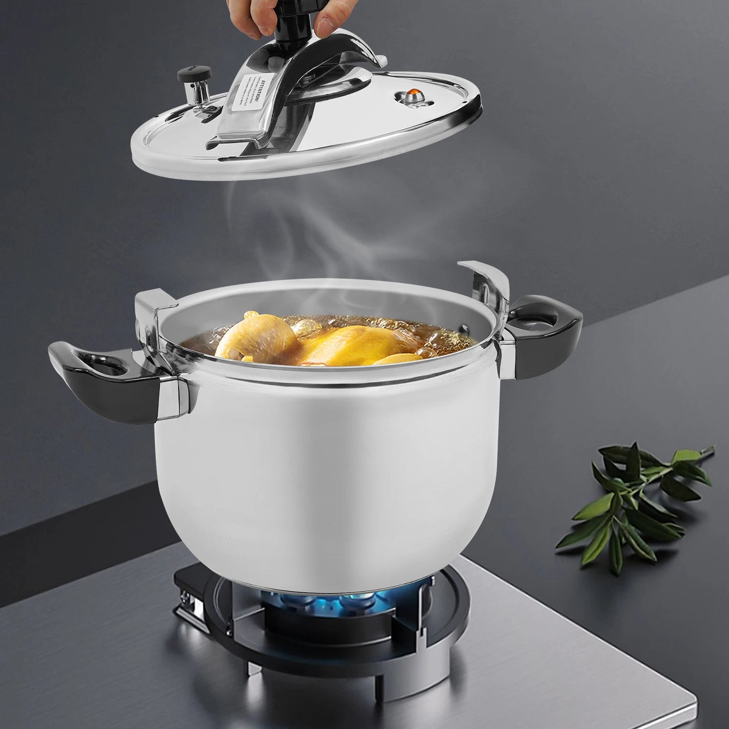 Stainless Steel Pressure Cooker