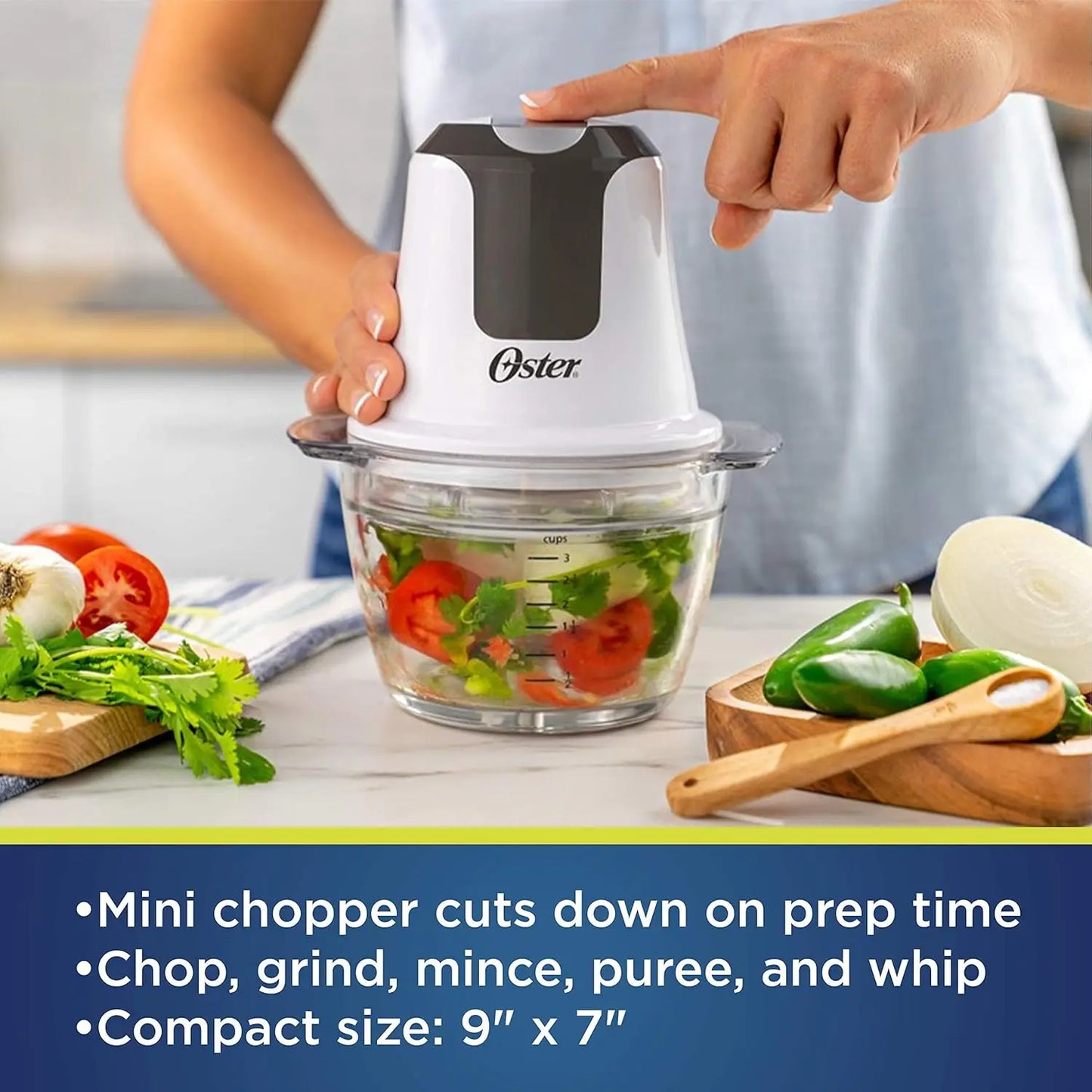 3-Cup Mini Food Chopper with Glass Bowl