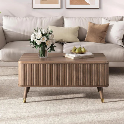 Lift Top Coffee Table with Storage, Mid Century Modern