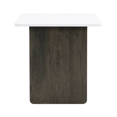 Modern Light Luxury Coffee Table Set of 2, Small Square Coffee End Table