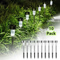 Outdoor solar lights 10pcs
