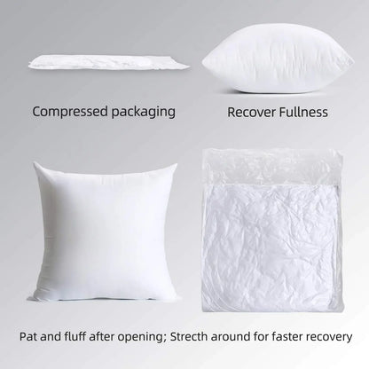 Throw Pillows Insert (Pack of 2, White)