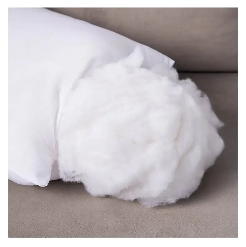 Throw Pillows Insert (Pack of 2, White)