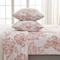Printed Plush Sheet - Velvet Luxe Collection