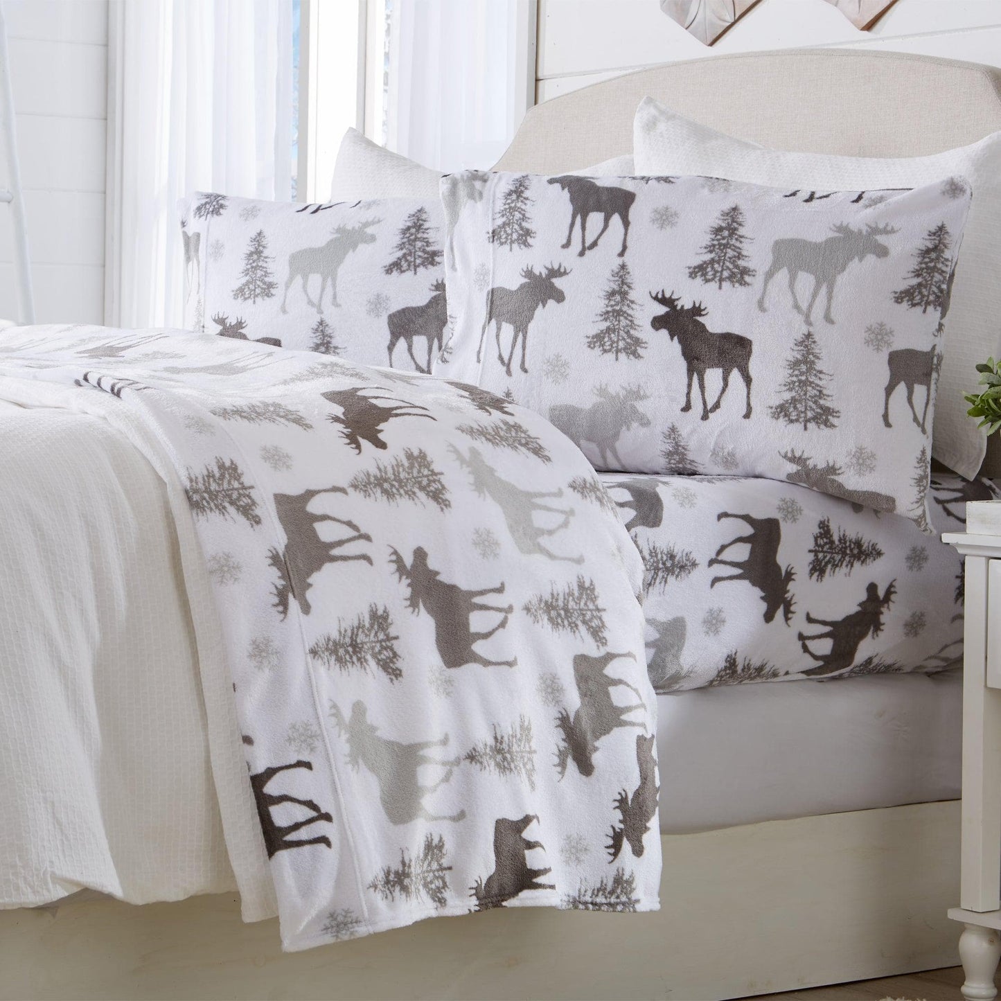 Printed Plush Sheet - Velvet Luxe Collection